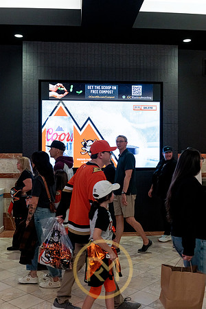 100426_ANAHEIM_DUCKS_RMR12076