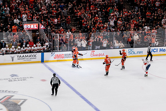100426_ANAHEIM_DUCKS_RMR19855