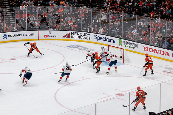 100426_ANAHEIM_DUCKS_RMR19670