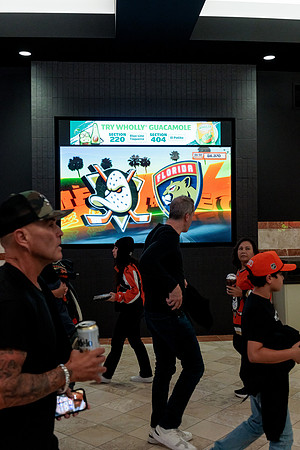 100426_ANAHEIM_DUCKS_RMR12554