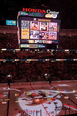 100426_ANAHEIM_DUCKS_RMR15740