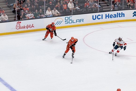 100426_ANAHEIM_DUCKS_RMR10360