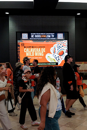 100426_ANAHEIM_DUCKS_RMR12996