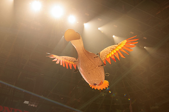 100426_ANAHEIM_DUCKS_RMR16060