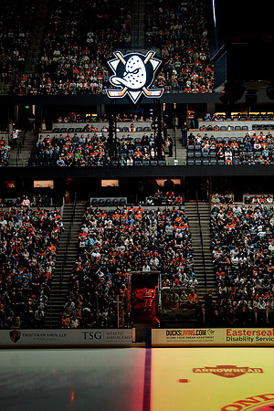 100426_ANAHEIM_DUCKS_RMR16276