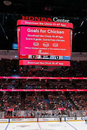101624_ANAHEIM_DUCKS_0616