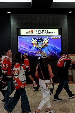100426_ANAHEIM_DUCKS_RMR14833