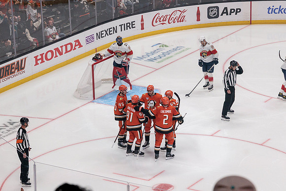 100426_ANAHEIM_DUCKS_RMR11076
