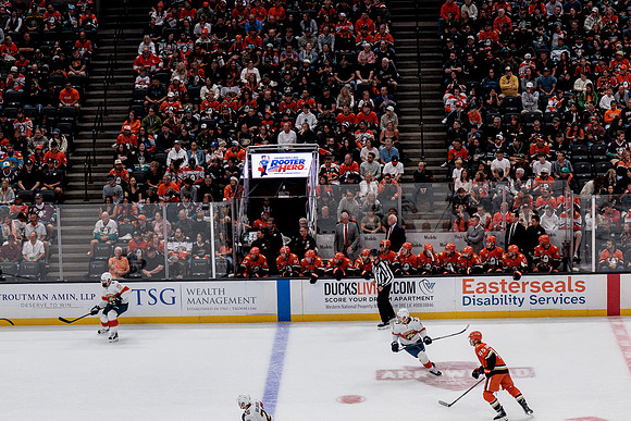 100426_ANAHEIM_DUCKS_RMR10115