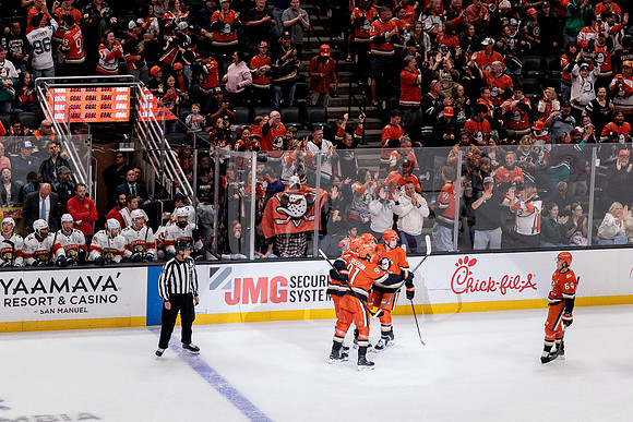 100426_ANAHEIM_DUCKS_RMR19894