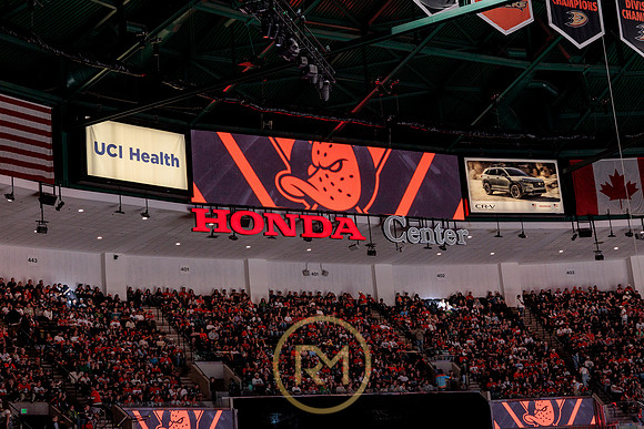 100426_ANAHEIM_DUCKS_RMR17843