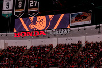 100426_ANAHEIM_DUCKS_RMR17808