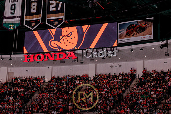 100426_ANAHEIM_DUCKS_RMR17808