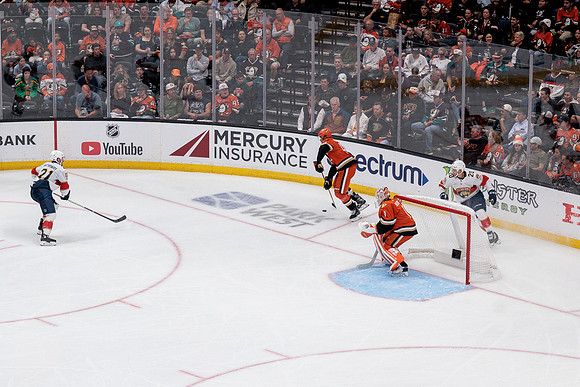 100426_ANAHEIM_DUCKS_RMR12184