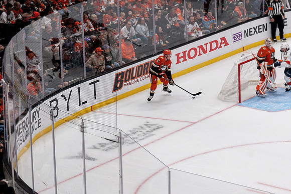 100426_ANAHEIM_DUCKS_RMR19306