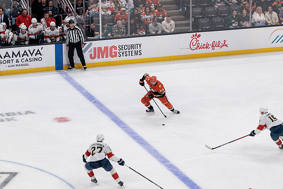 100426_ANAHEIM_DUCKS_RMR11757