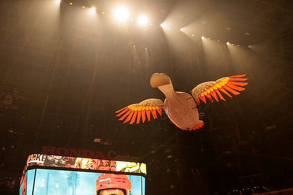 100426_ANAHEIM_DUCKS_RMR16046