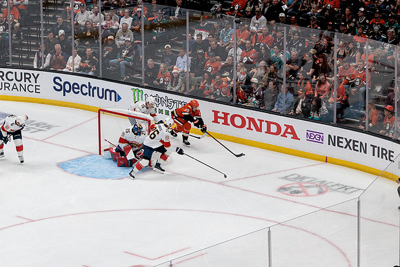 100426_ANAHEIM_DUCKS_RMR17736