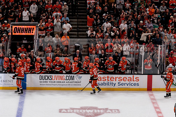 100426_ANAHEIM_DUCKS_RMR19997