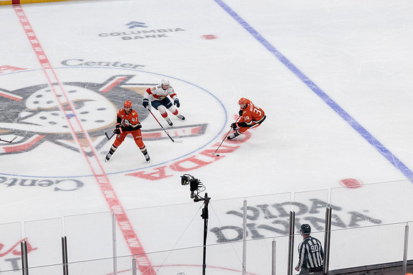 100426_ANAHEIM_DUCKS_RMR12074