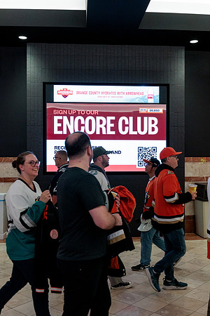 100426_ANAHEIM_DUCKS_RMR13733