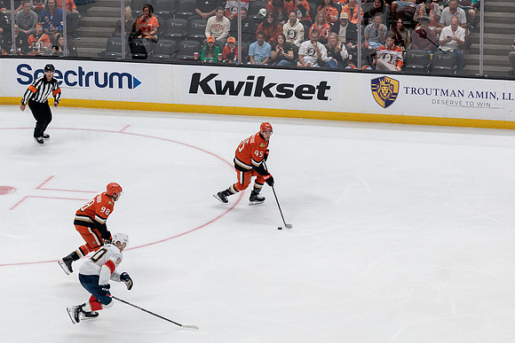 100426_ANAHEIM_DUCKS_RMR17626