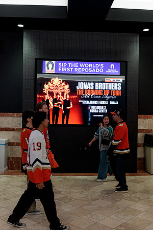 100426_ANAHEIM_DUCKS_RMR14919