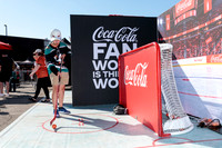 100426_ANAHEIM_DUCKS_RMR11313