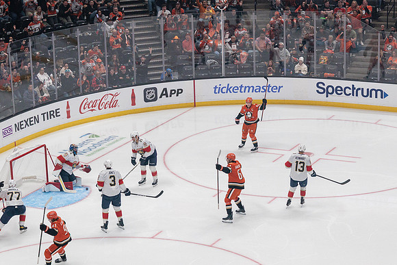 100426_ANAHEIM_DUCKS_RMR10969