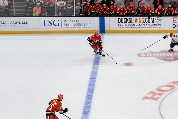 100426_ANAHEIM_DUCKS_RMR19643