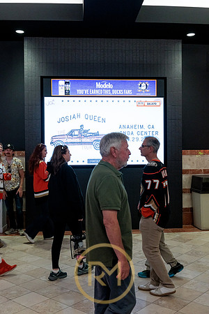 100426_ANAHEIM_DUCKS_RMR12352