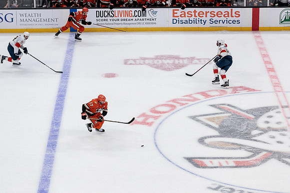 100426_ANAHEIM_DUCKS_RMR10267