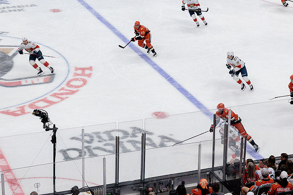 100426_ANAHEIM_DUCKS_RMR17981