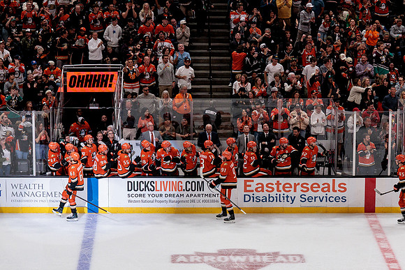 100426_ANAHEIM_DUCKS_RMR19978