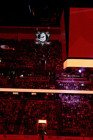 100426_ANAHEIM_DUCKS_RMR16190