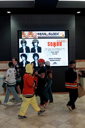 100426_ANAHEIM_DUCKS_RMR14072