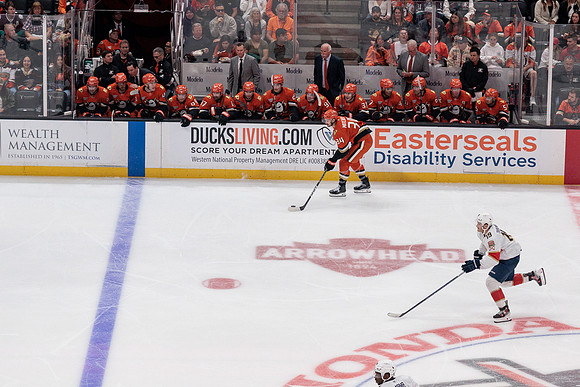 100426_ANAHEIM_DUCKS_RMR11474