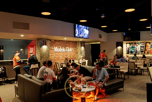 100426_ANAHEIM_DUCKS_RMR15088