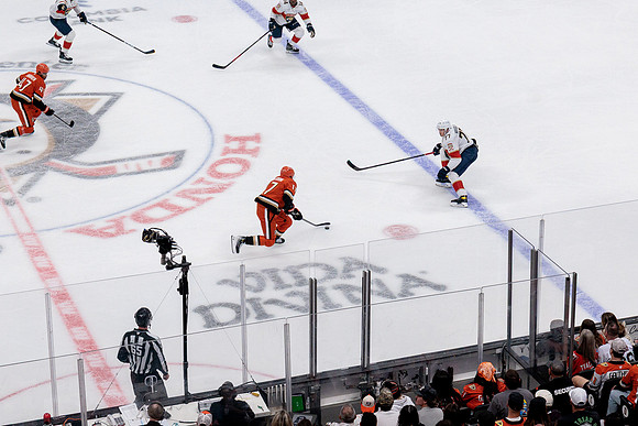 100426_ANAHEIM_DUCKS_RMR10284