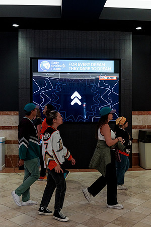 100426_ANAHEIM_DUCKS_RMR13897