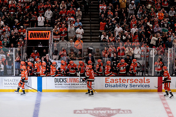 100426_ANAHEIM_DUCKS_RMR19982