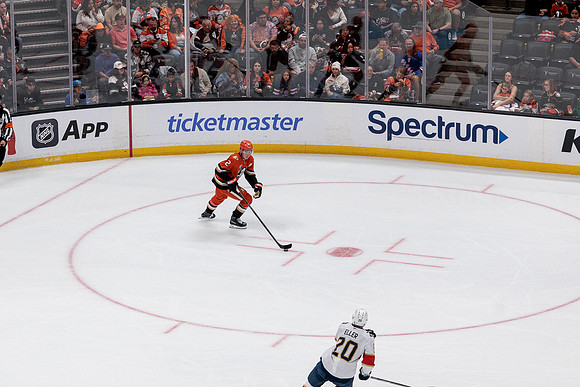 100426_ANAHEIM_DUCKS_RMR19567