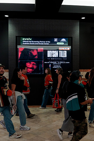 100426_ANAHEIM_DUCKS_RMR14477