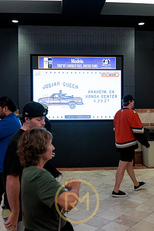 100426_ANAHEIM_DUCKS_RMR12344