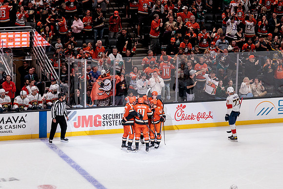 100426_ANAHEIM_DUCKS_RMR19915