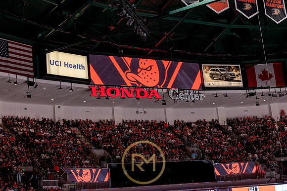 100426_ANAHEIM_DUCKS_RMR17824