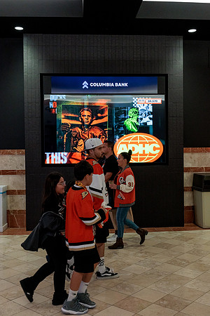 100426_ANAHEIM_DUCKS_RMR13275