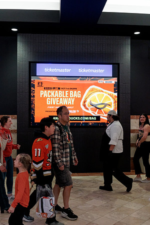 100426_ANAHEIM_DUCKS_RMR12866