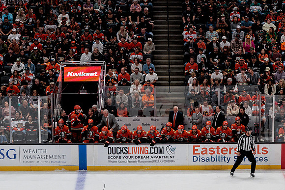 100426_ANAHEIM_DUCKS_RMR17534