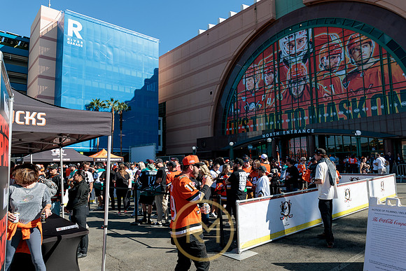 100426_ANAHEIM_DUCKS_RMR11359